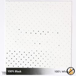 PROJEKTIONSFOLIE WHITESTAR STANDARDPERF