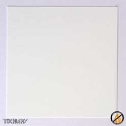 PROJECTION SCREEN BLACKBACK